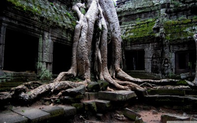 angkor-wat-temple-cambodia