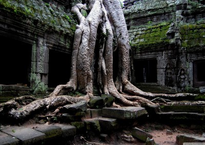 angkor-wat-temple-cambodia